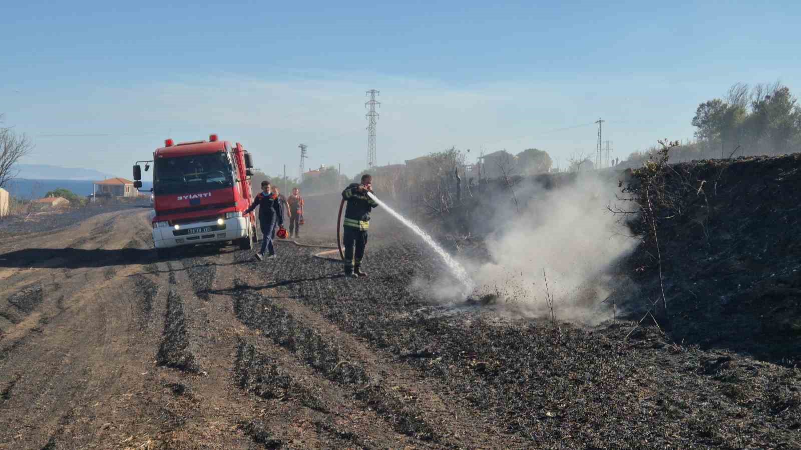 Tekirdağ’da buğday tarlalarına sıçrayan yangında 300 dönüm alan kül oldu