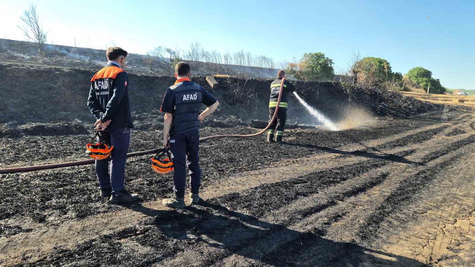 Tekirdağ’da buğday tarlalarına sıçrayan yangında 300 dönüm alan kül oldu