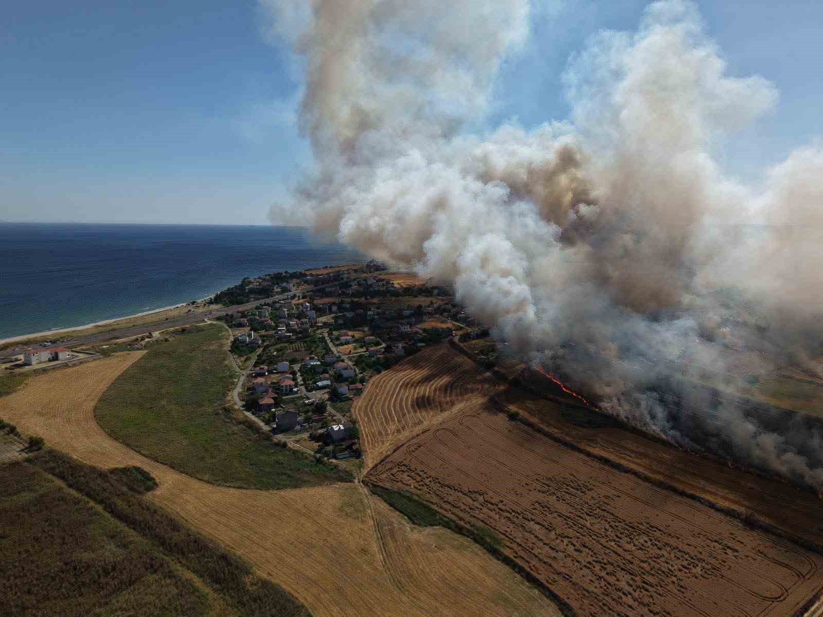 Tekirdağ’da buğday tarlalarına sıçrayan yangında 300 dönüm alan kül oldu