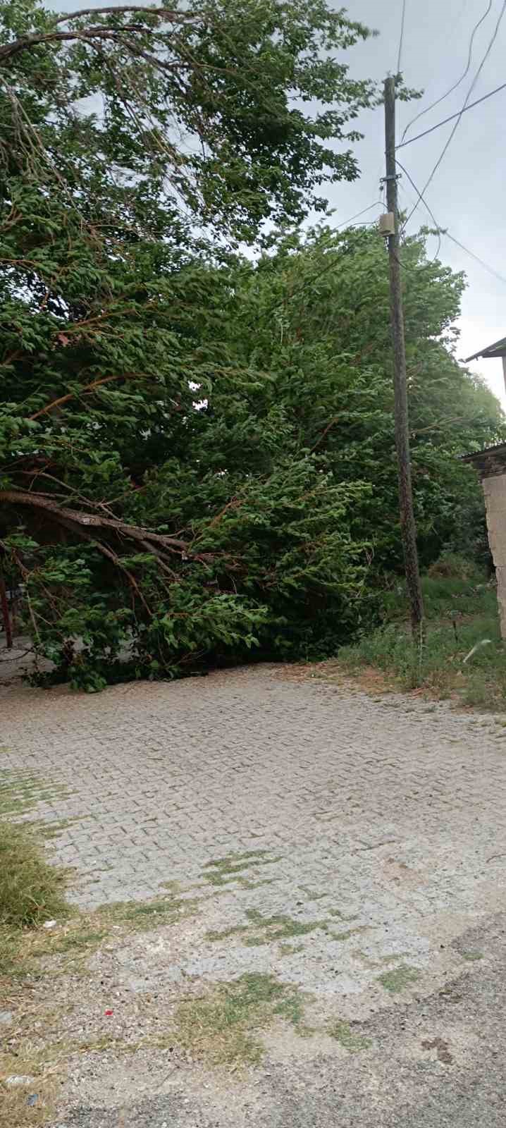 Adana’nın kuzey ilçelerinde kuvvetli rüzgar etkili oldu