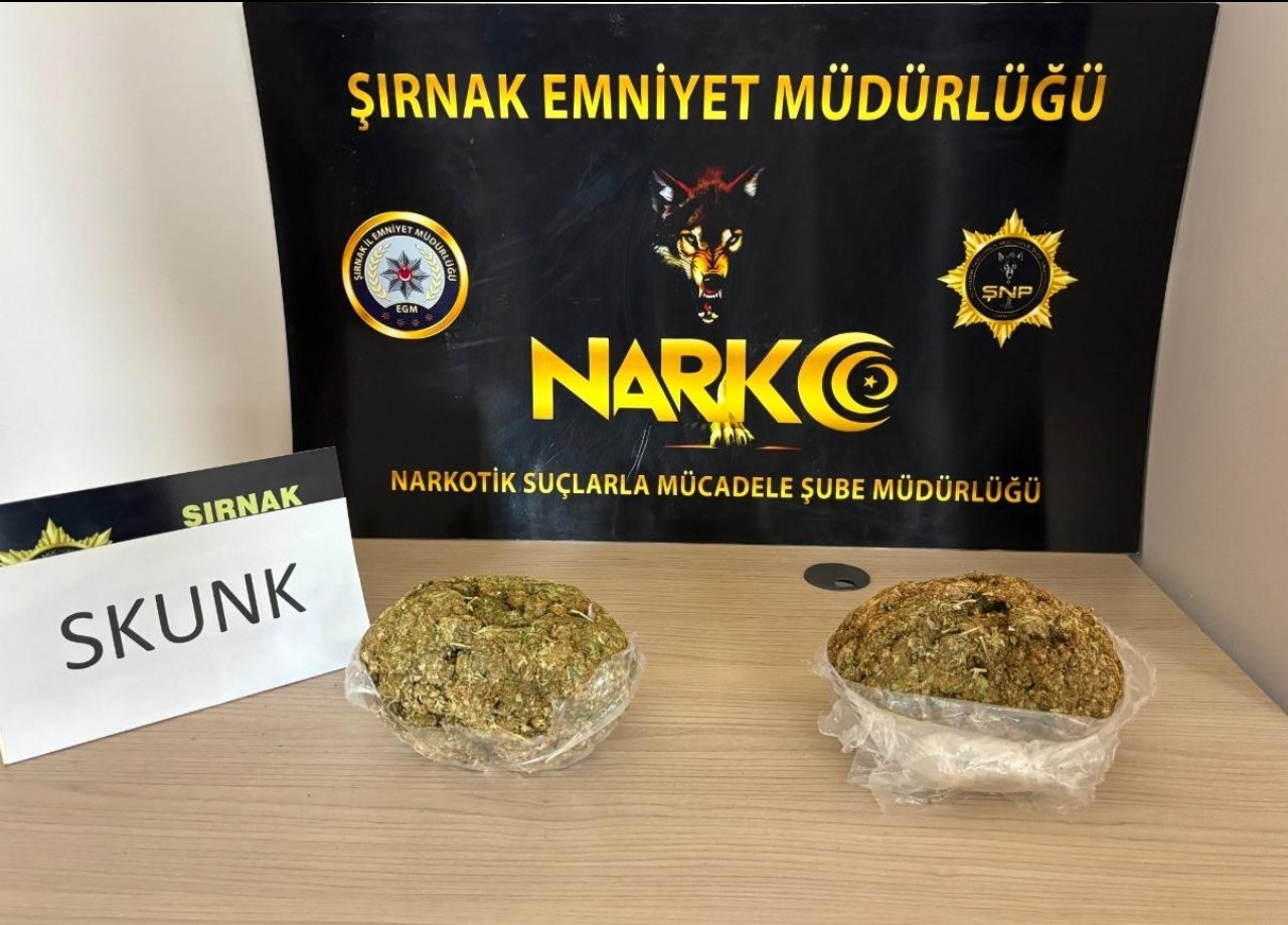 Şırnak’ta durdurulan araçta 1 kilogram skunk ele geçirildi