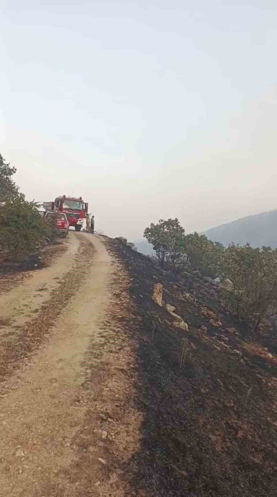 Mardin’deki örtü yangınları kontrol altına alındı