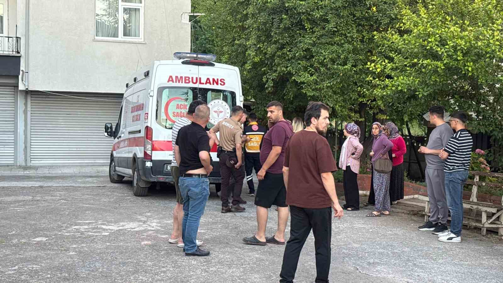 Dut toplarken ağaçtan düşüp yaralandı