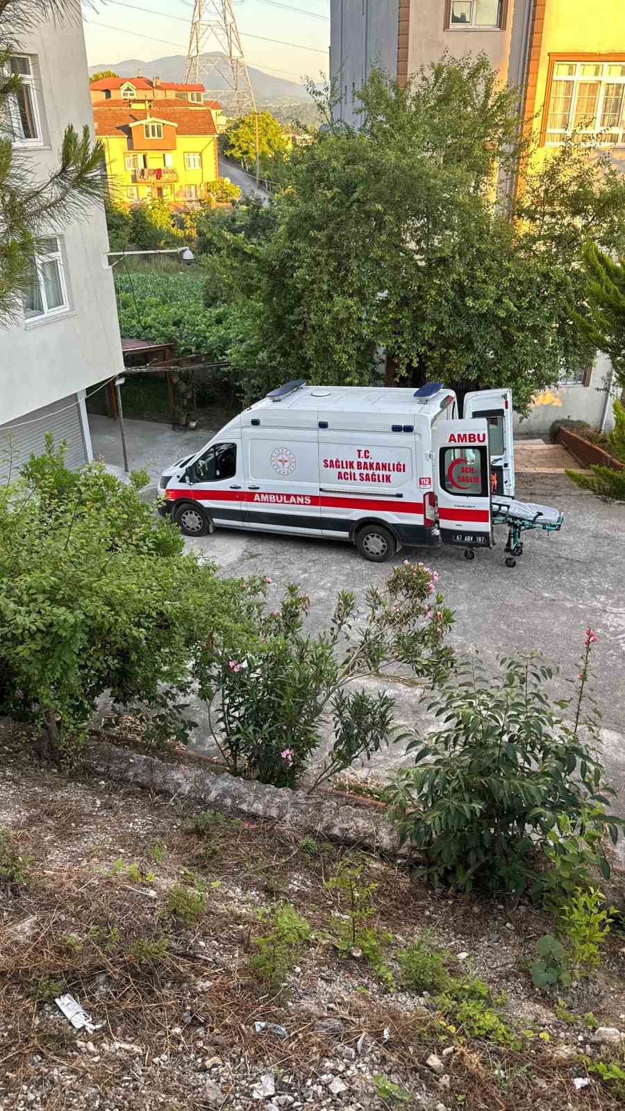 Dut toplarken ağaçtan düşüp yaralandı