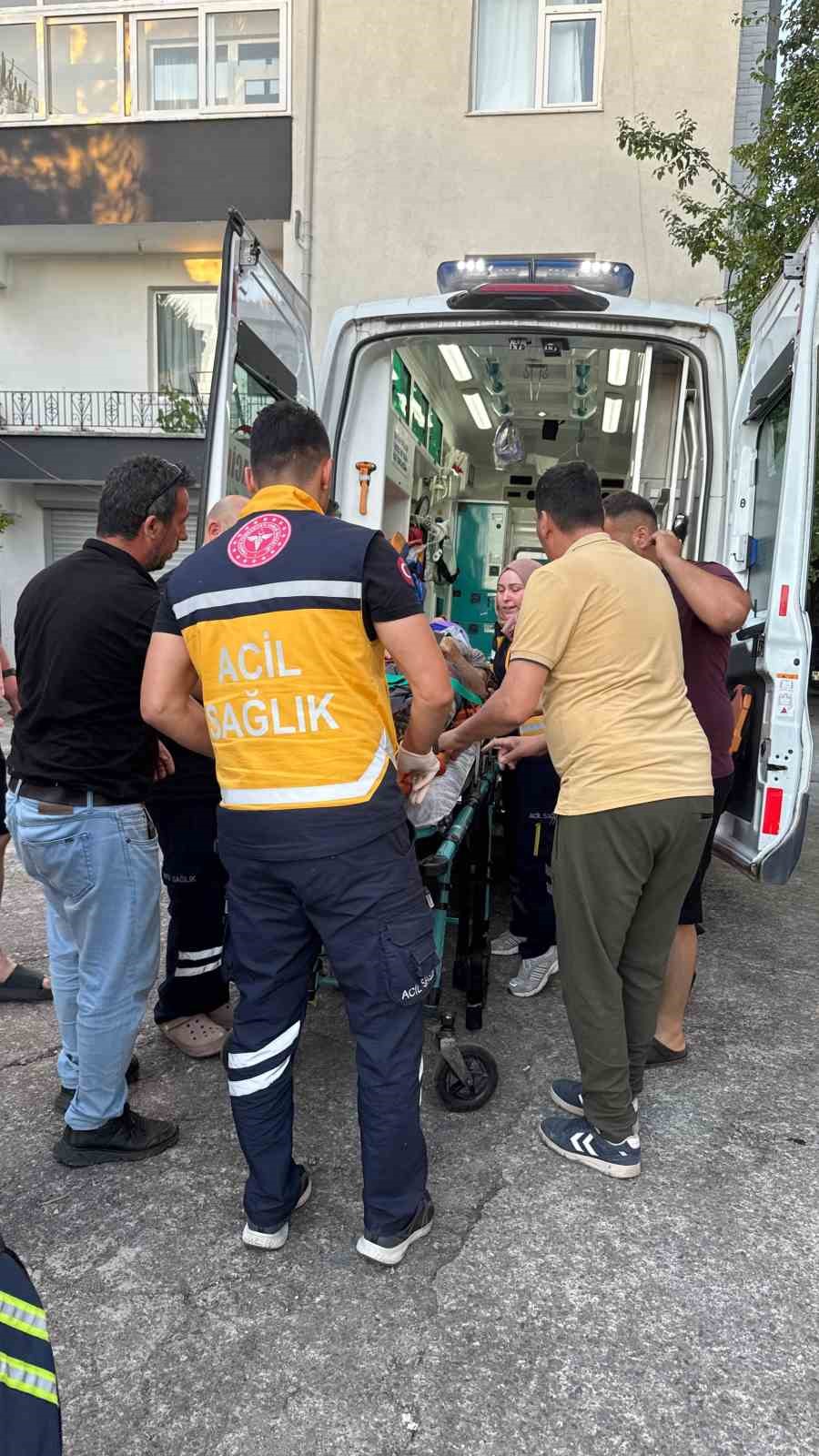 Dut toplarken ağaçtan düşüp yaralandı