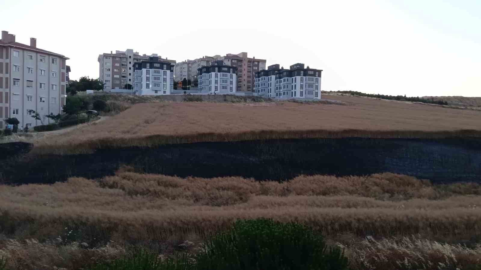 Bandırma’da buğday tarlası yangını korkuttu