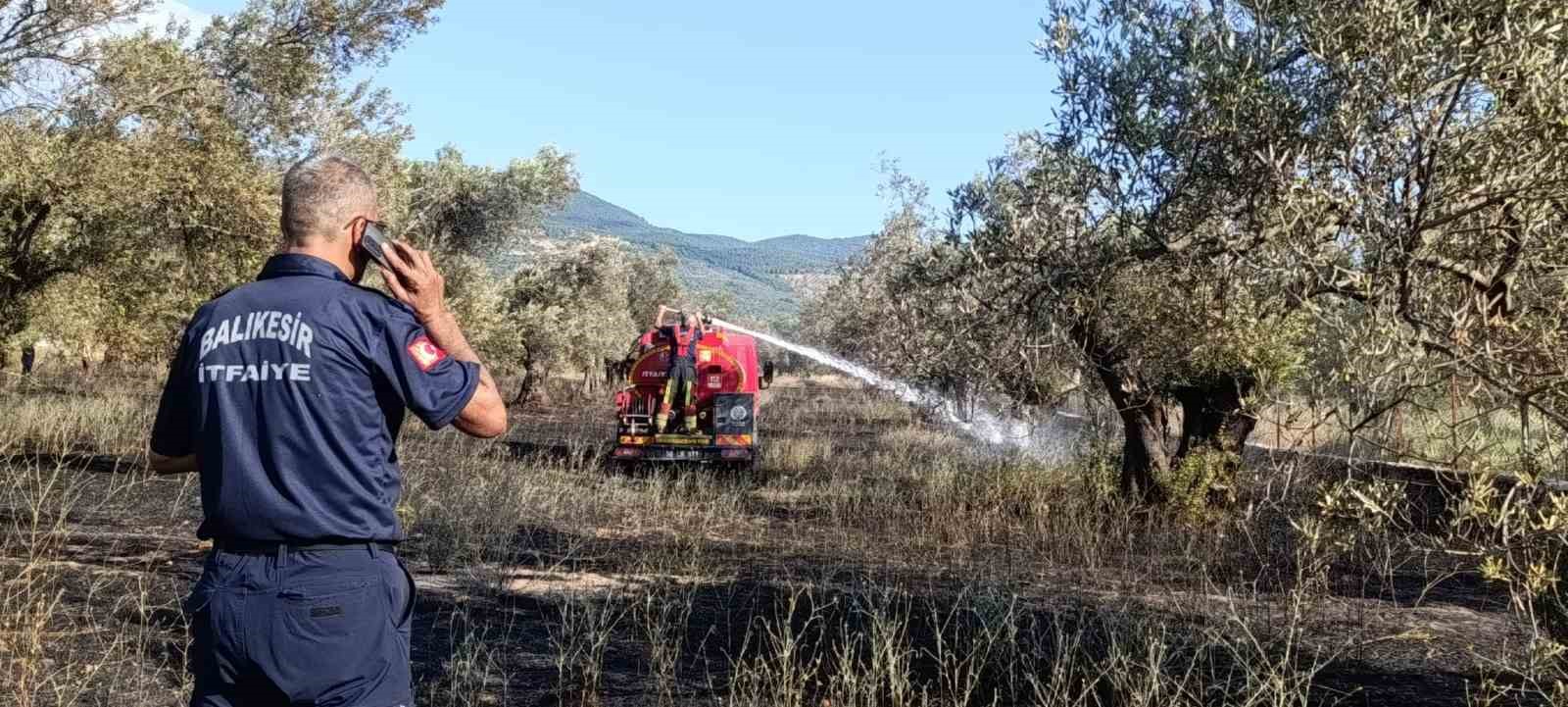 Balıkesir Ziraat Odası Başkanı Demirbay: "Bir yıllık emek bir sigara izmaritiyle kül olmasın"