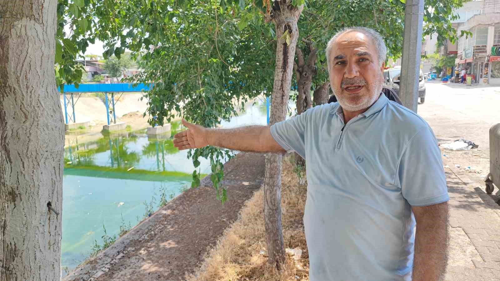 Adana’da sivrisinek istilasına vatandaş tepkisi: "Çocuklarımız yara içinde kaldı"