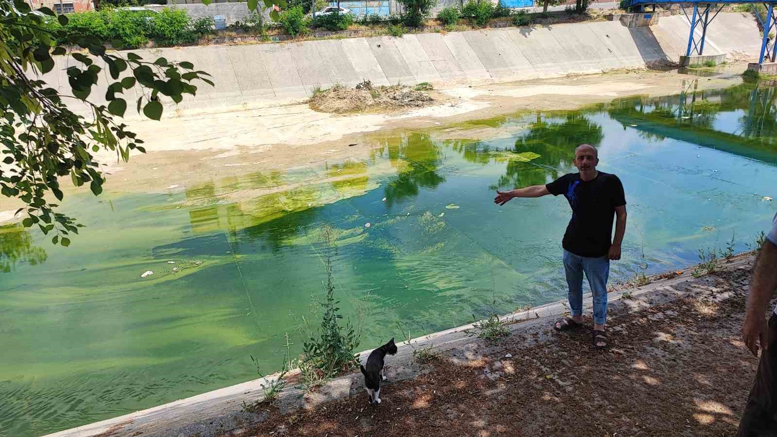 Adana’da sivrisinek istilasına vatandaş tepkisi: "Çocuklarımız yara içinde kaldı"