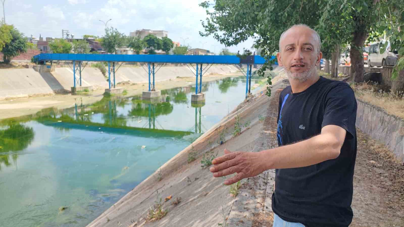 Adana’da sivrisinek istilasına vatandaş tepkisi: "Çocuklarımız yara içinde kaldı"