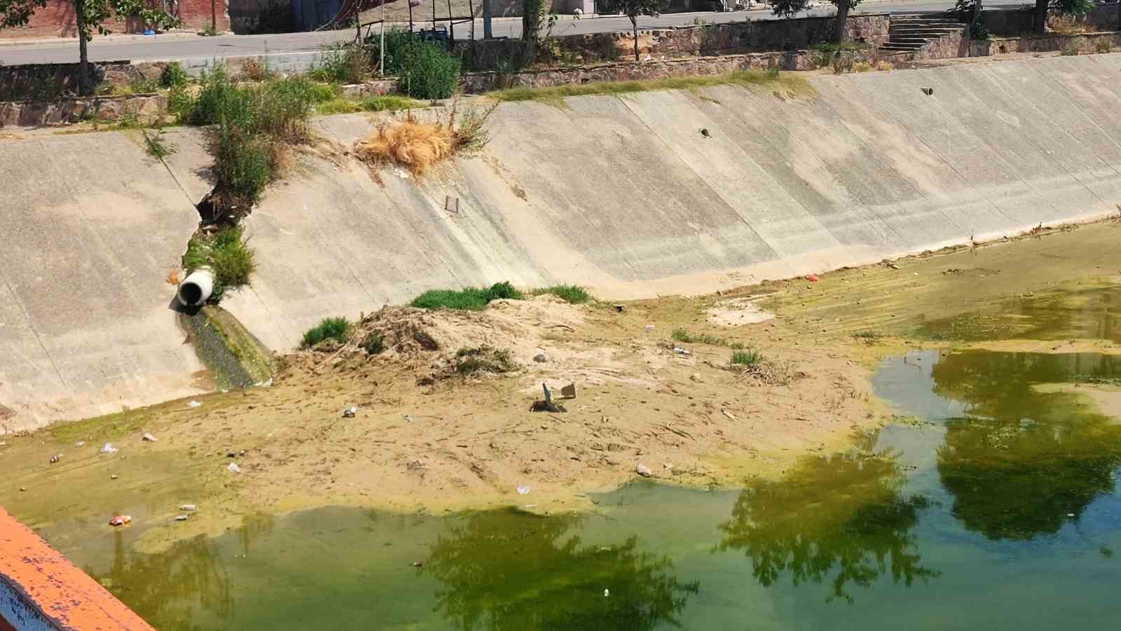 Adana’da sivrisinek istilasına vatandaş tepkisi: "Çocuklarımız yara içinde kaldı"
