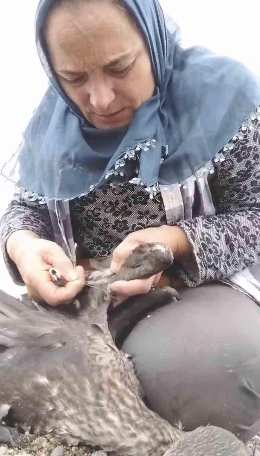 Trabzon’da karabatak kurtarma operasyonu gülümsetti