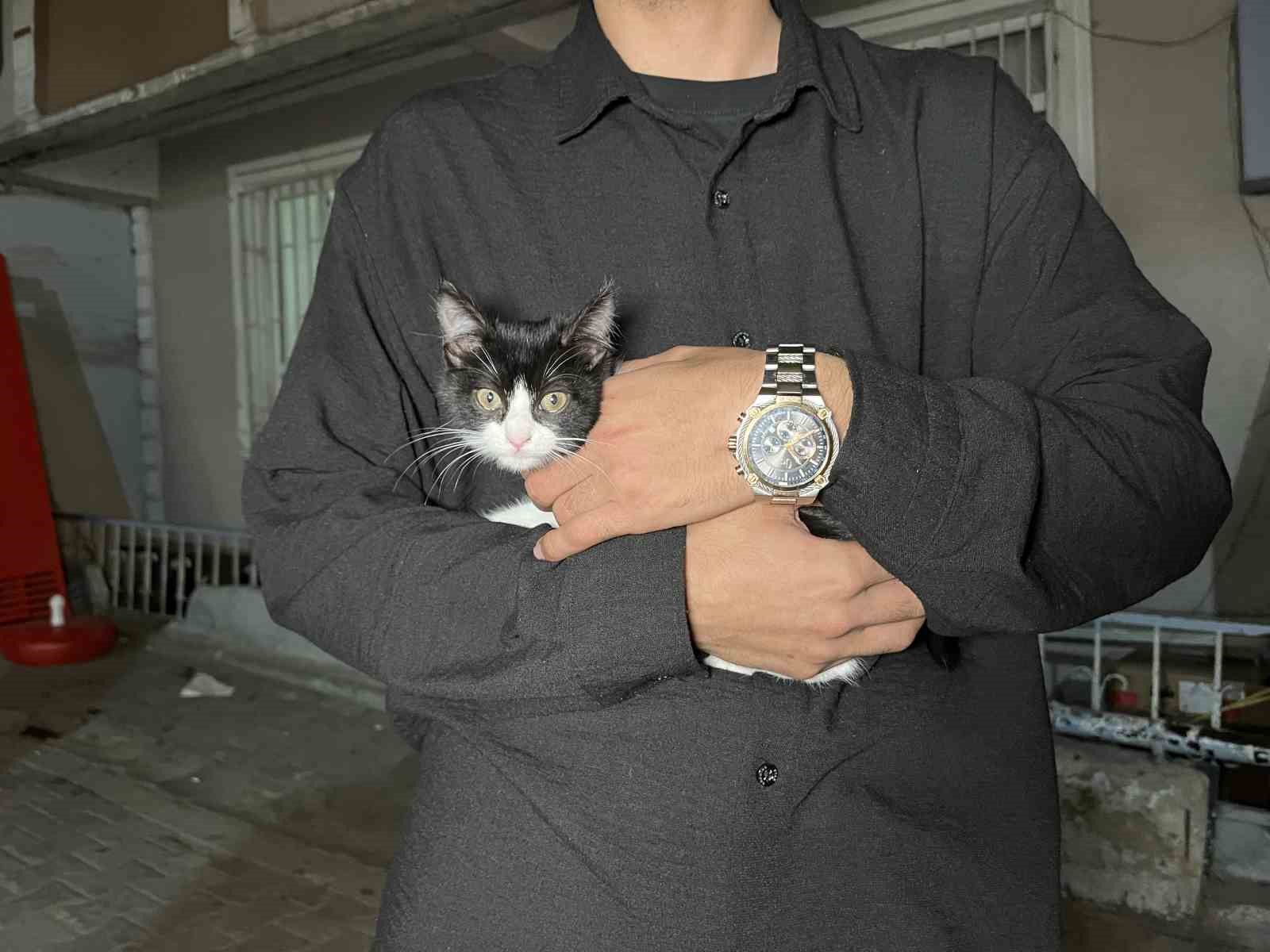 Küçükçekmece’de 7’inci kattan düşen kedi şemsiye ile kurtarıldı