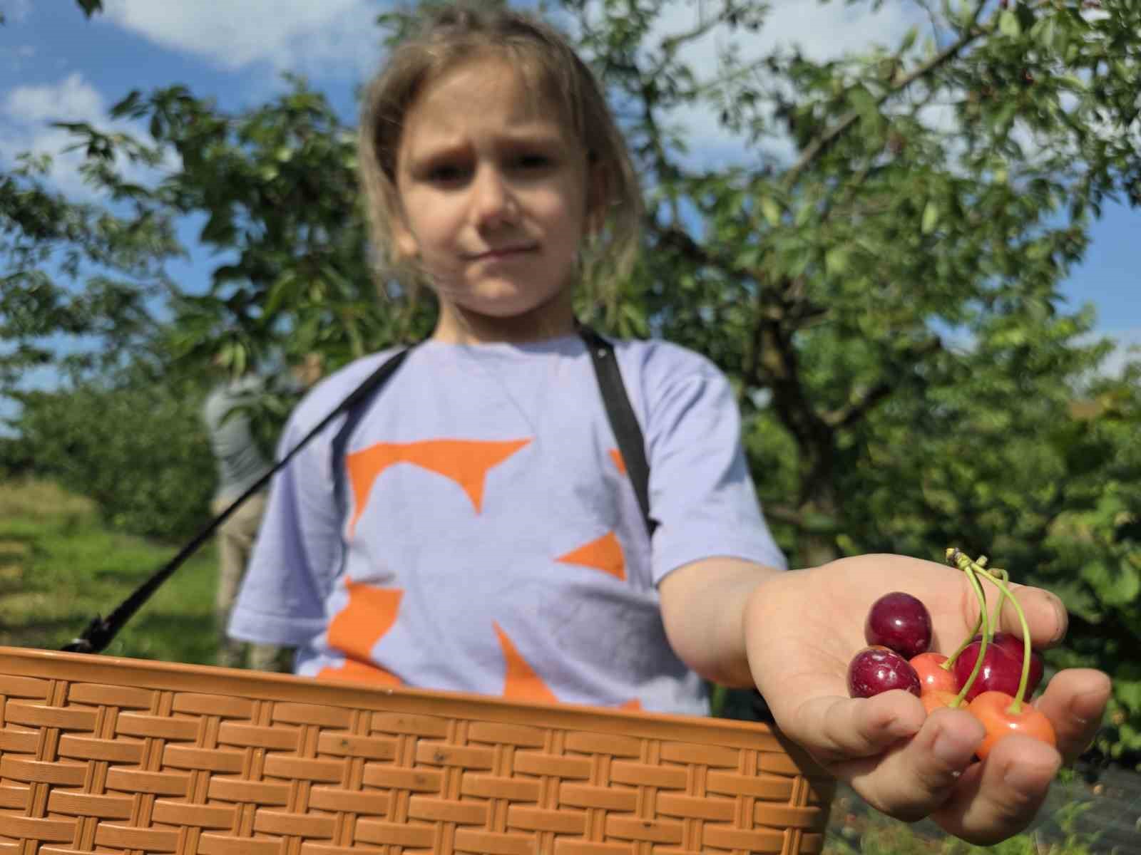 440 ağaçlık kiraz bahçesi ziyaretçilerini geçmişe götürüyor