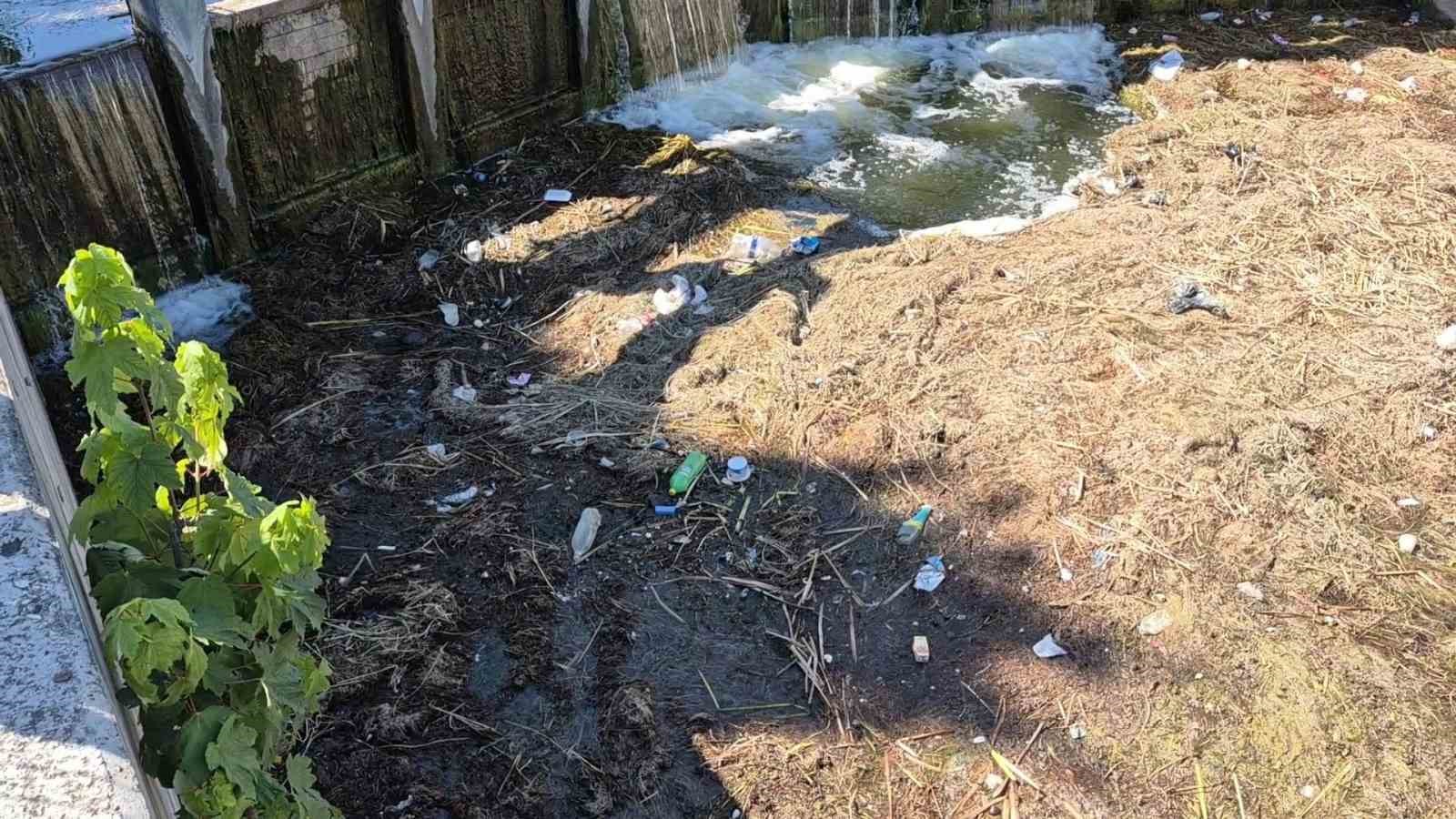 Porsuk Çayı’nın tüm pisliği burada birikiyor