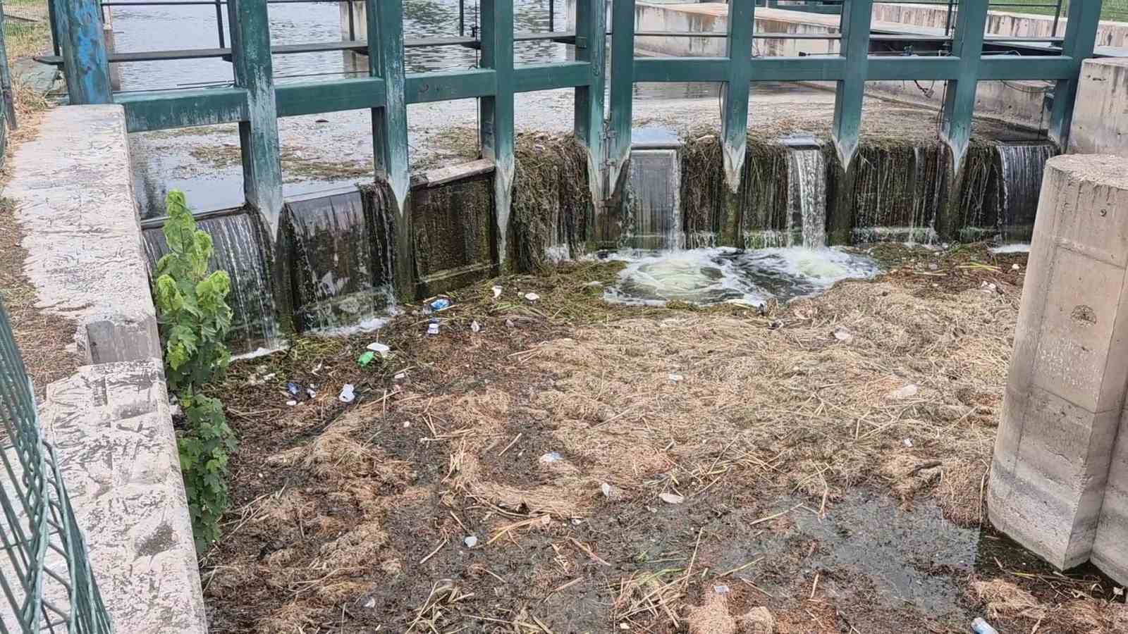 Porsuk Çayı’nın tüm pisliği burada birikiyor