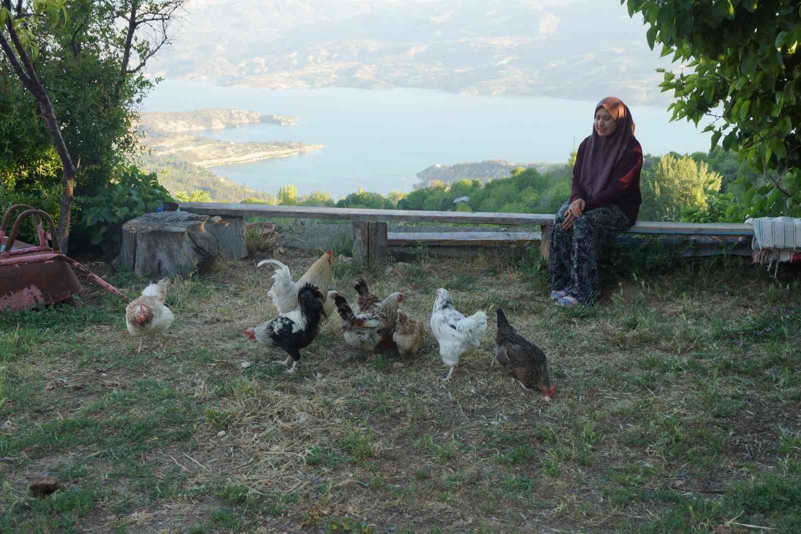 Zehra’nın hayvan sevgisi sosyal medyada ilgi odağı oldu