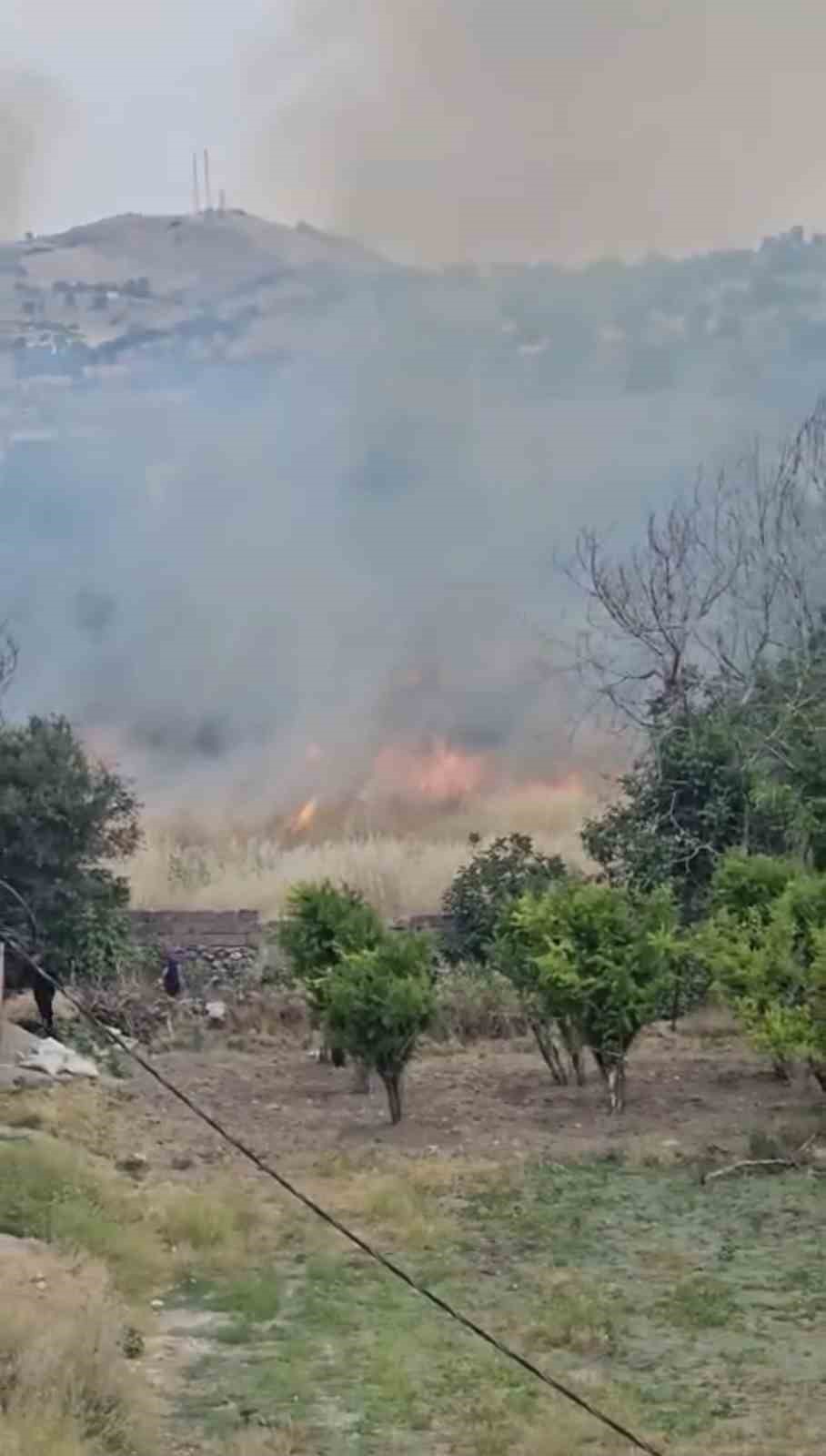 Diyarbakır’da yerleşim alanında çıkan yangın paniğe neden oldu