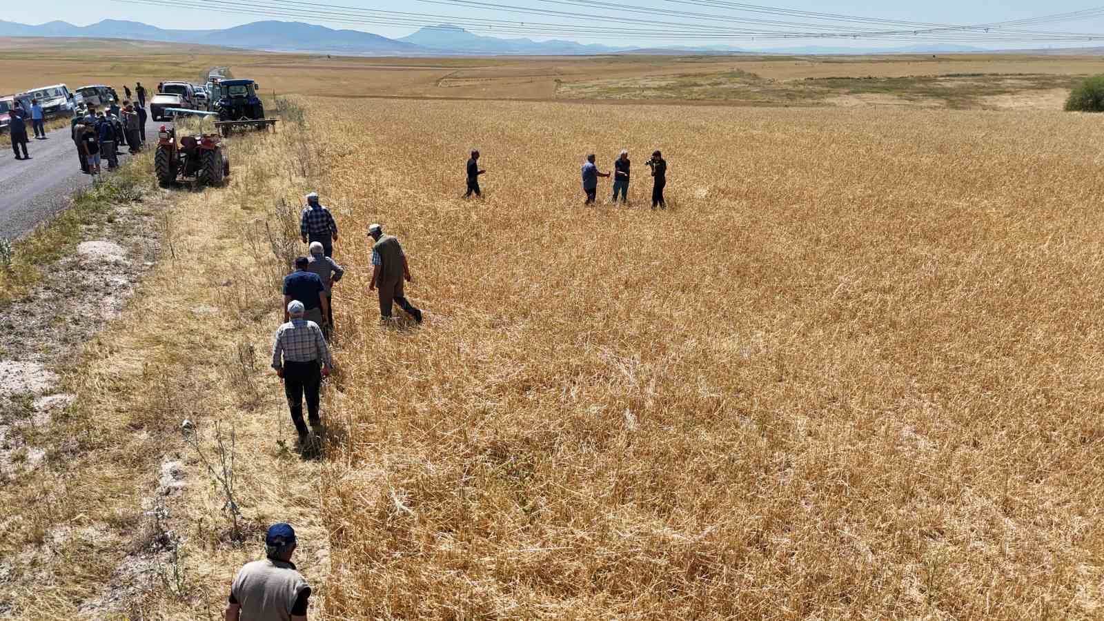 TZOB Genel Başkanı Bayraktar ’tarımsal üretimin sürdürülebilirliğinin önemine’ vurgu yaptı