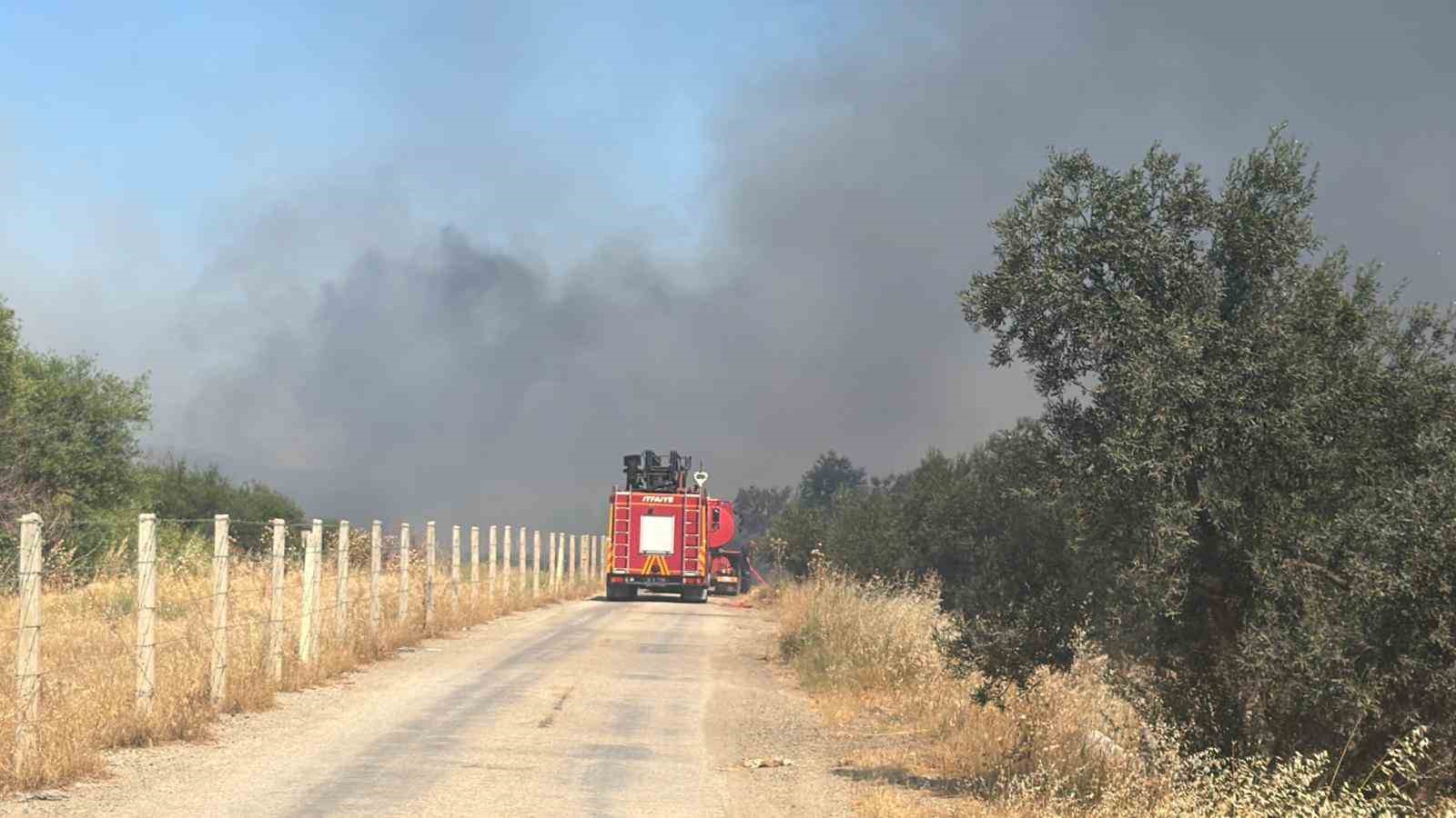 Edremit’te eski çöp depolama alanında çıkan yangın zeytinliklere sıçradı