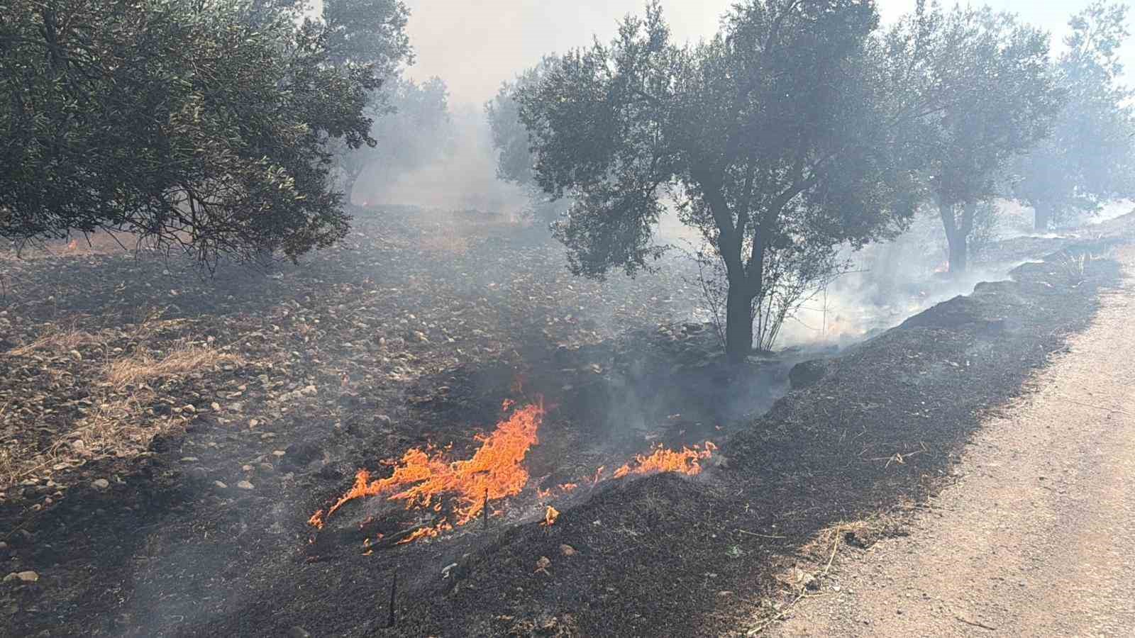 Edremit’te eski çöp depolama alanında çıkan yangın zeytinliklere sıçradı