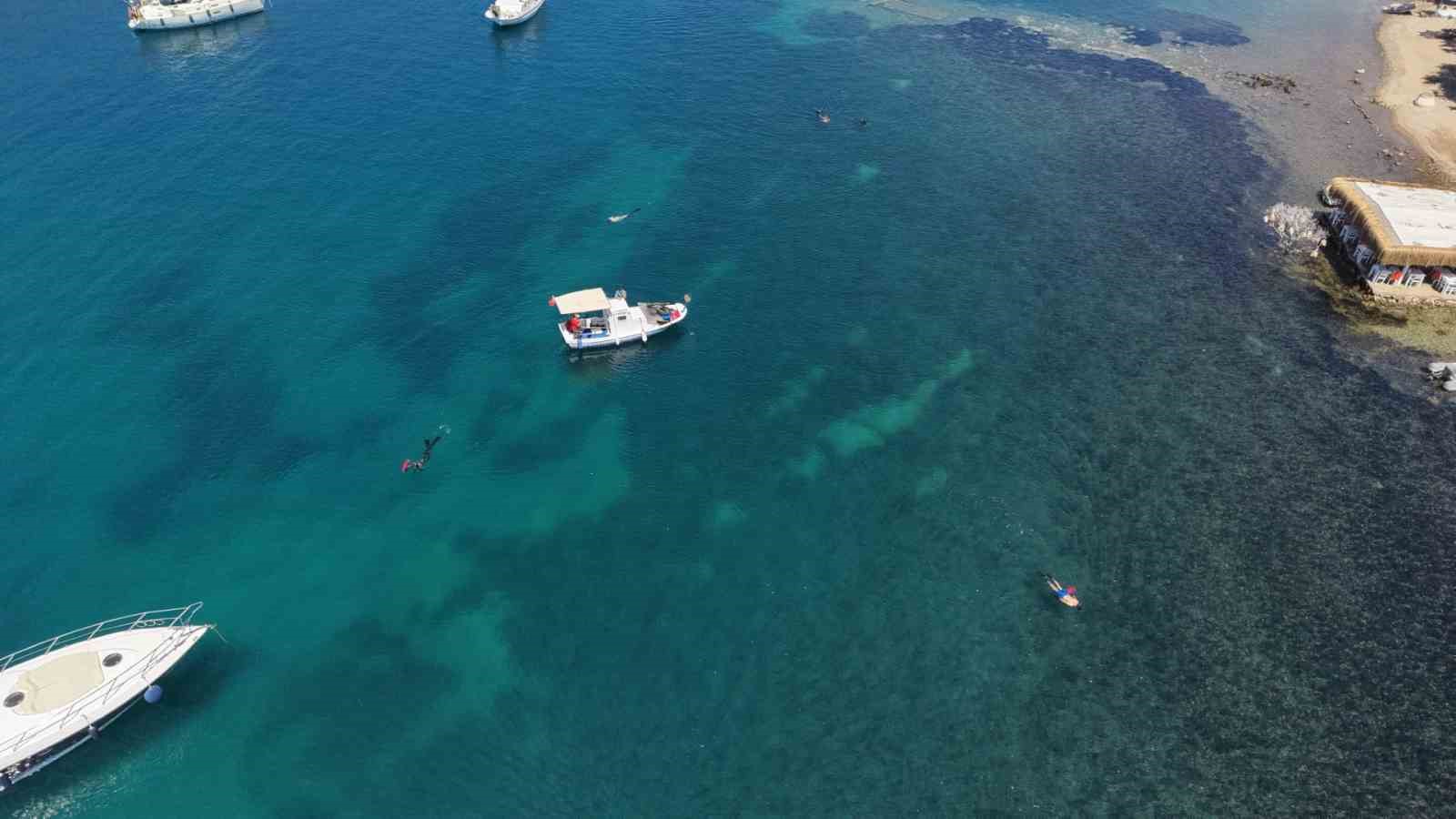 Deniz dibi temizliği Gümüşlük’te devam etti