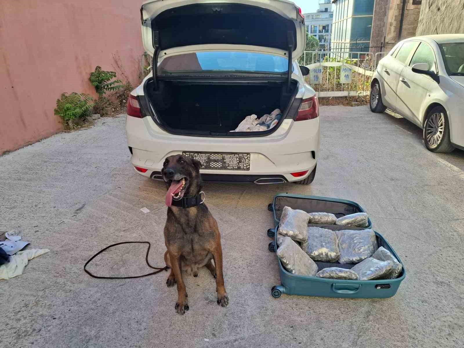 Balıkesir polisinden ’Narkorekor’