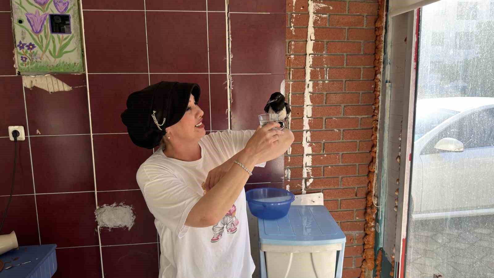 Yaralı bulduğu yavru saksağan kahvaltı arkadaşı oldu