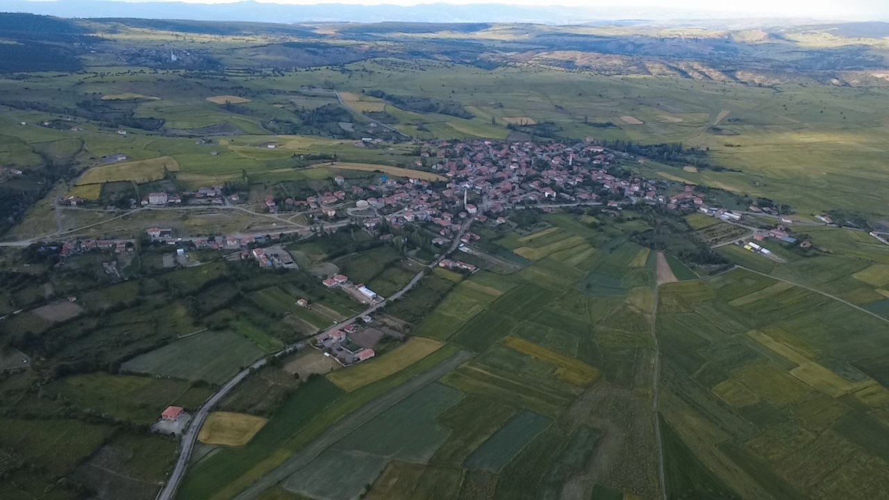 Tarlalar mora boyandı, çiçekler resim tablosunu andırdı