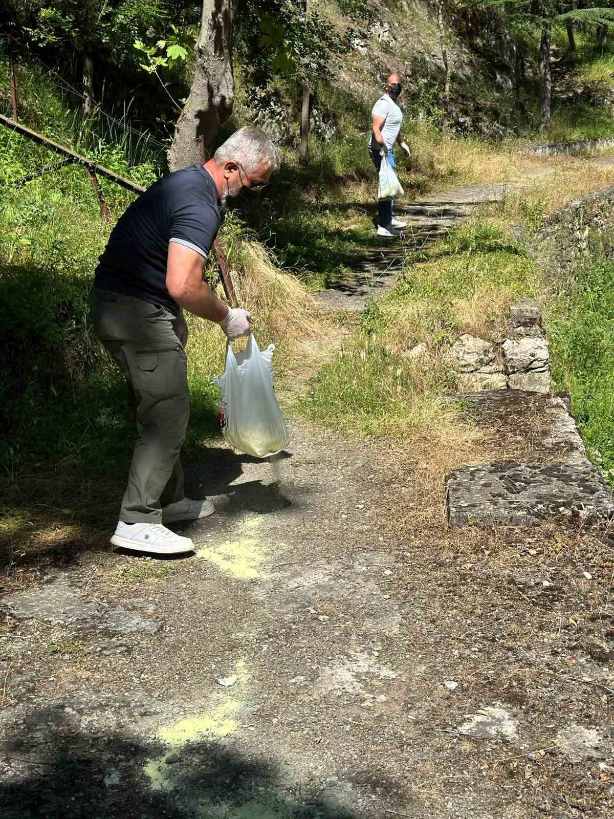 Bilecik’te piknik alanlarında ilaçlama çalışması gerçekleştirildi