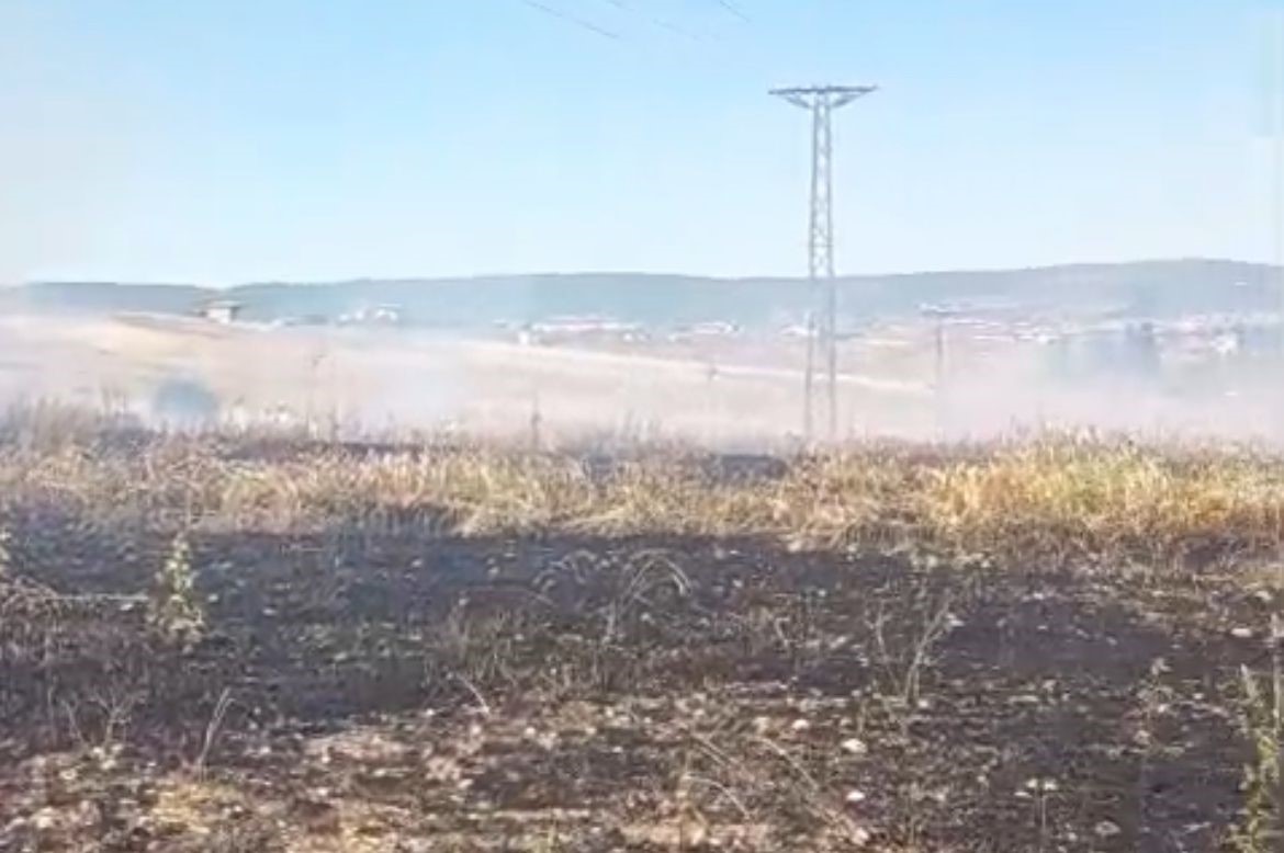 Tavşanlı’da hasat sırasında çıkan yangında 15 dönüm tarla kül oldu