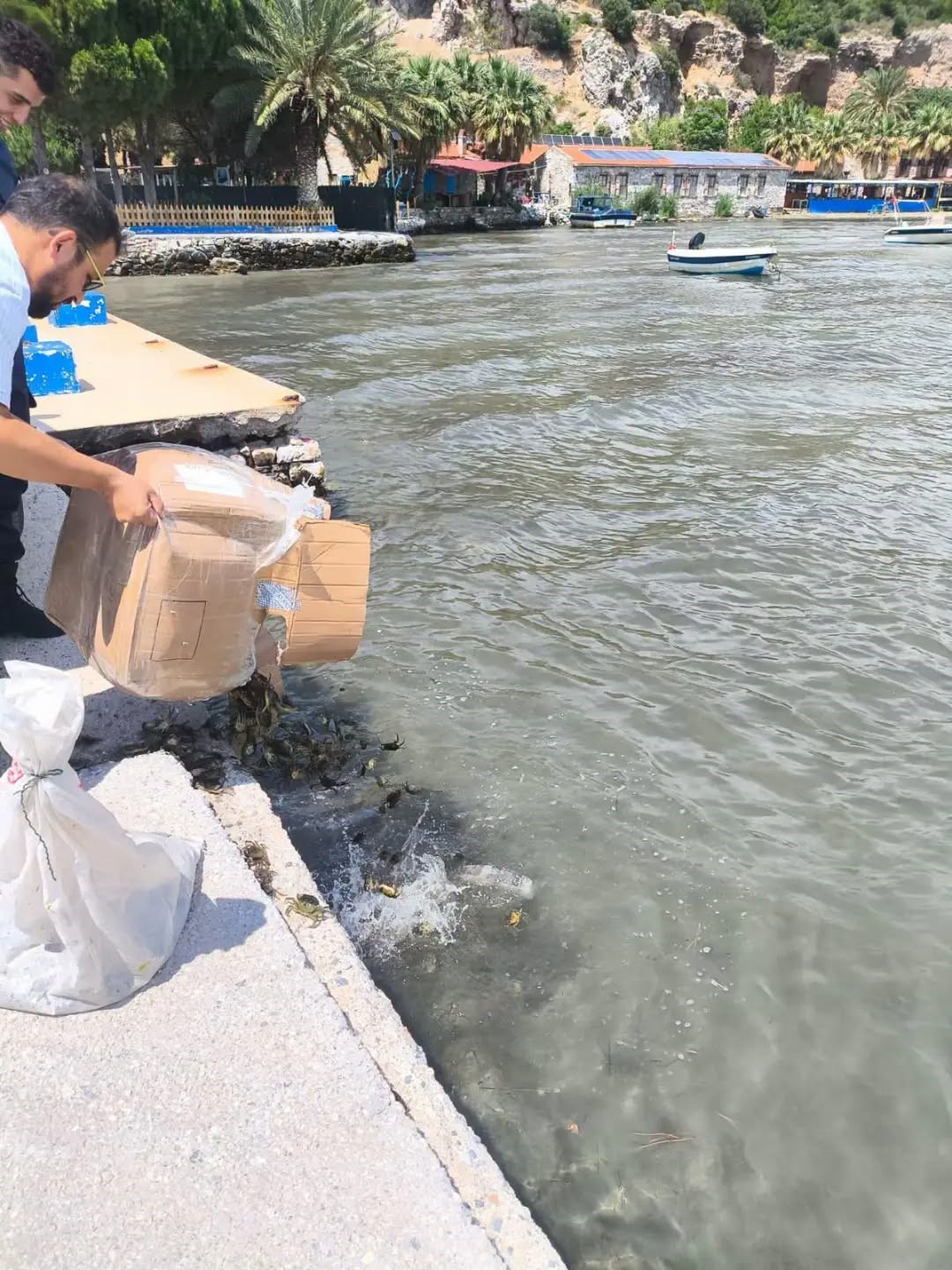 Söke’de kaçak su ürünleri nakline geçit verilmedi