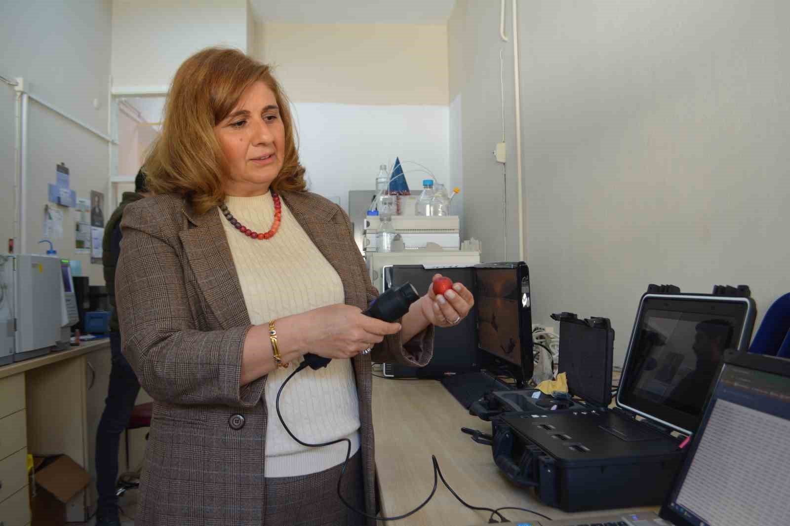 Türk bilim adamları tarafından süper çilekler geliştirildi