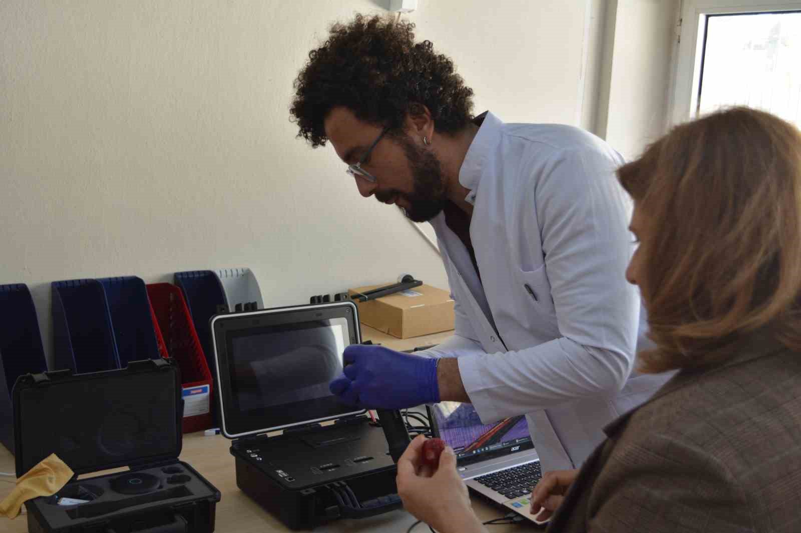 Türk bilim adamları tarafından süper çilekler geliştirildi