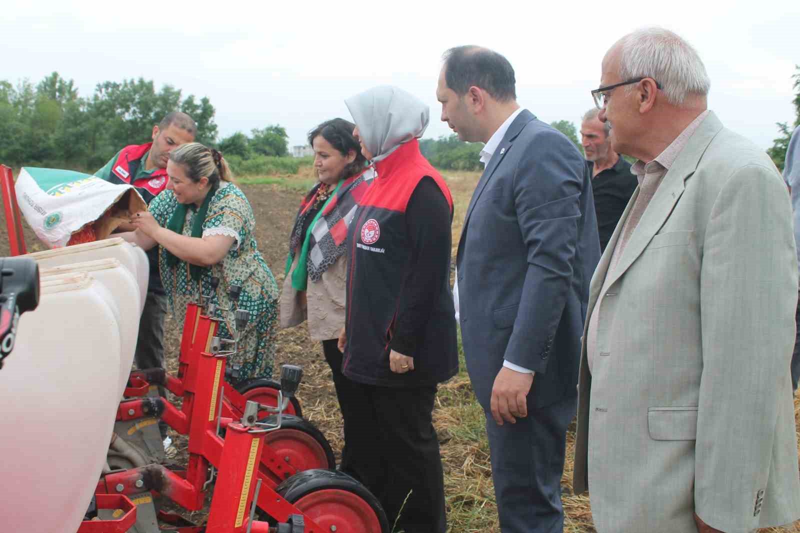 Yerli mısır tohumları toprakla buluştu