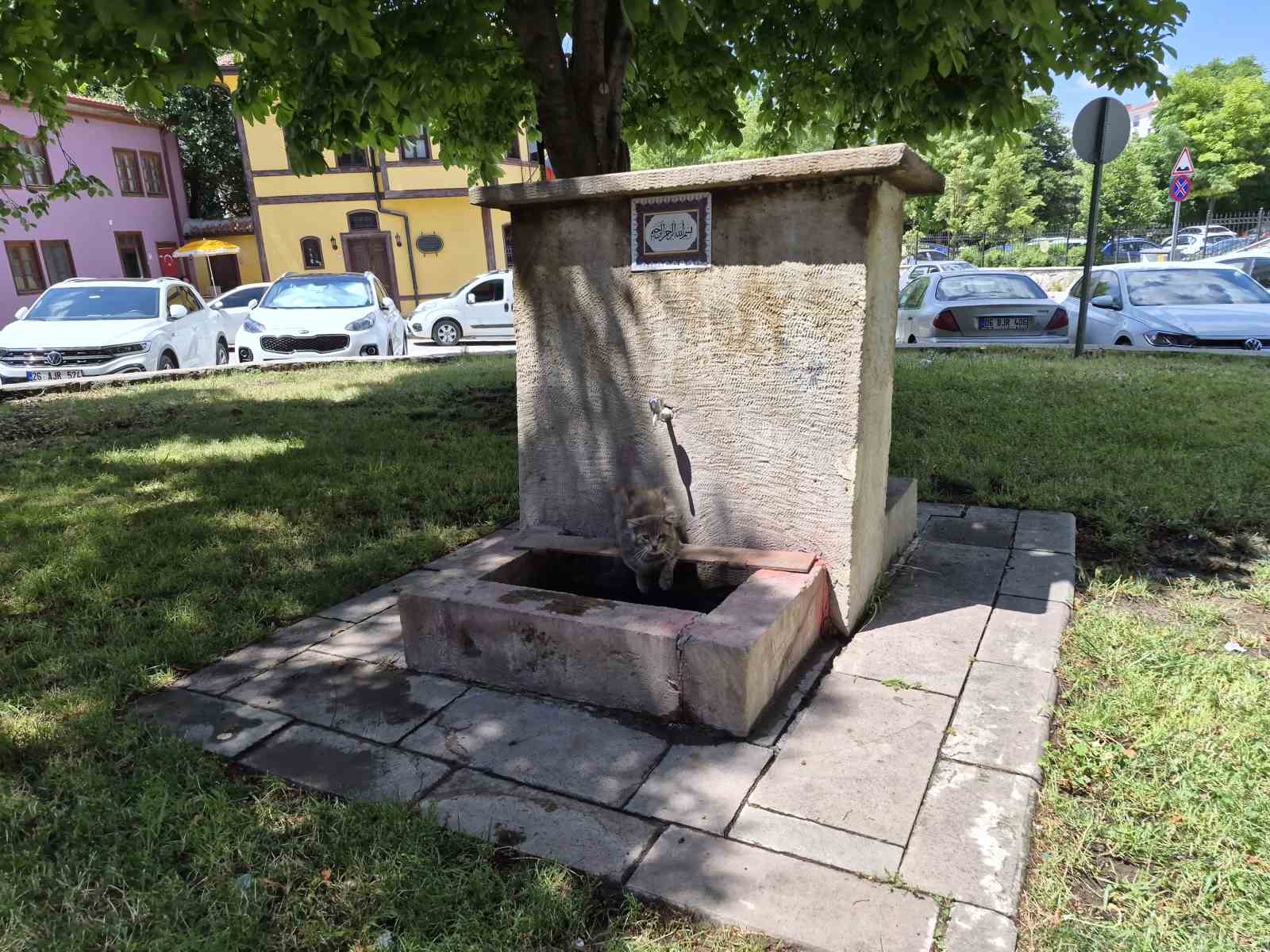 Sıcaktan bunalan sokak kedisi tarihi çeşmenin altında serinlemeye çalıştı