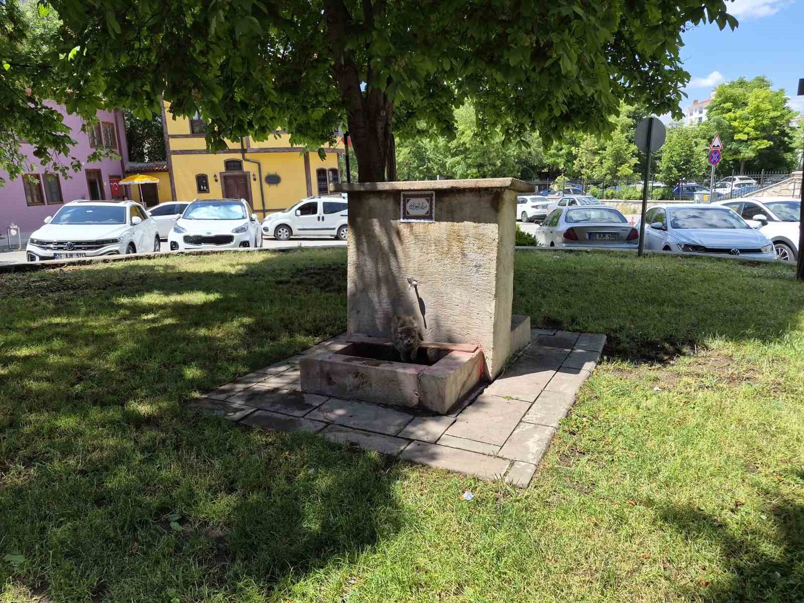 Sıcaktan bunalan sokak kedisi tarihi çeşmenin altında serinlemeye çalıştı