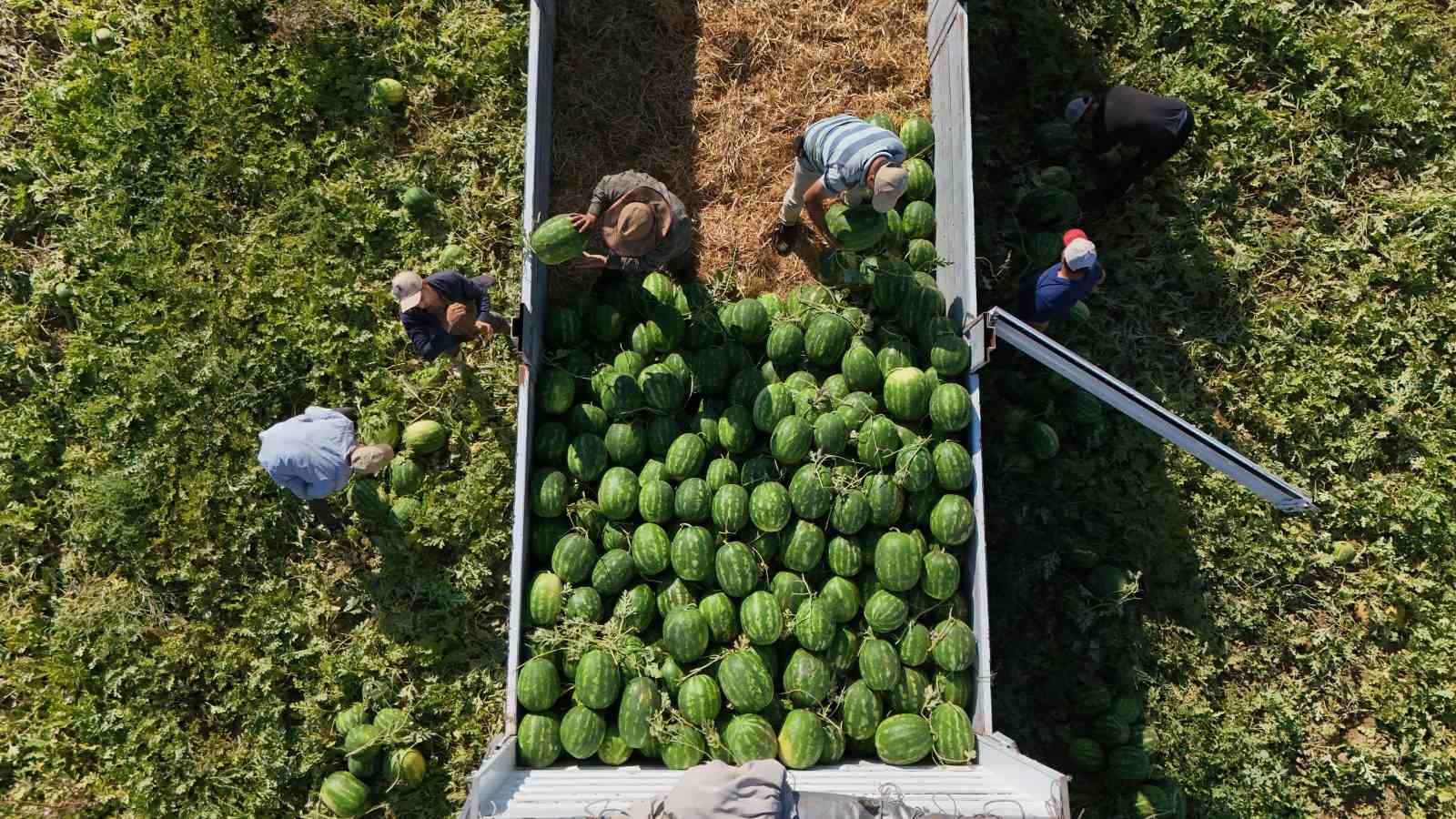 Aydın karpuzu için gün doğmadan sıraya giriyorlar