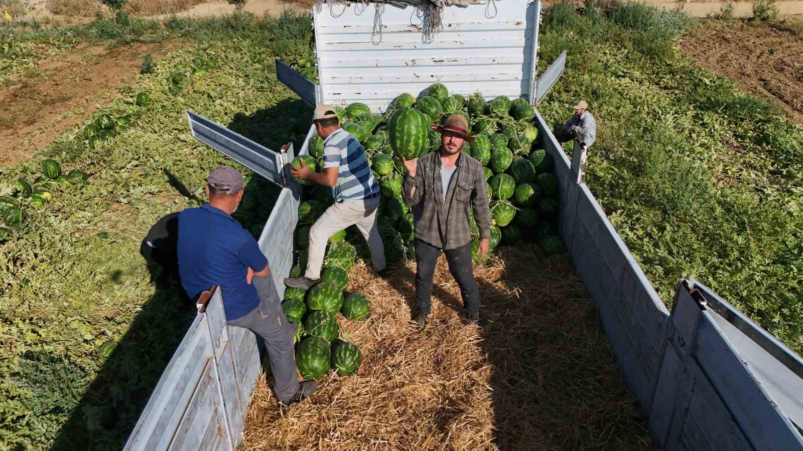 Aydın karpuzu için gün doğmadan sıraya giriyorlar