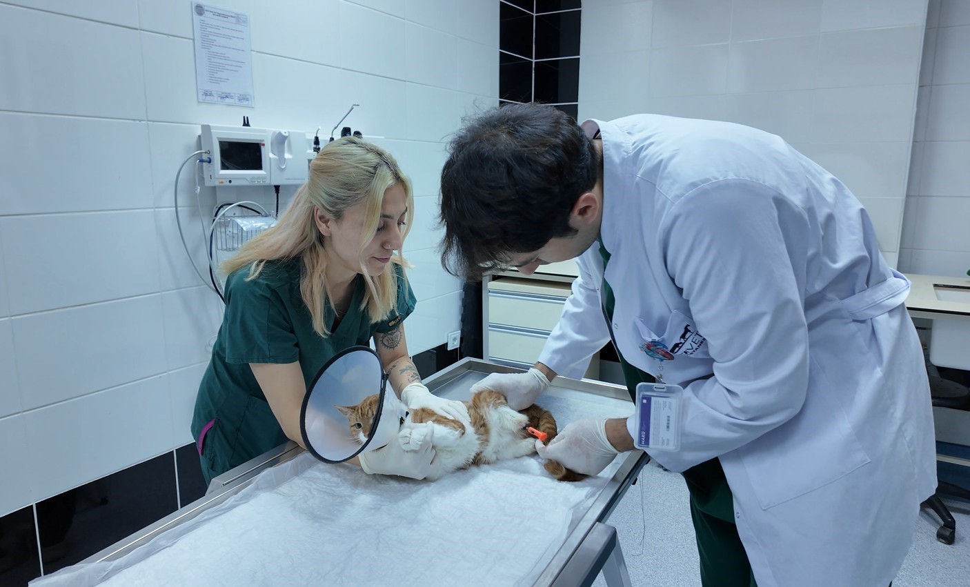 Arka 2 patisi ampute edilen Balım’a 3 boyutlu özel tasarlanan protez