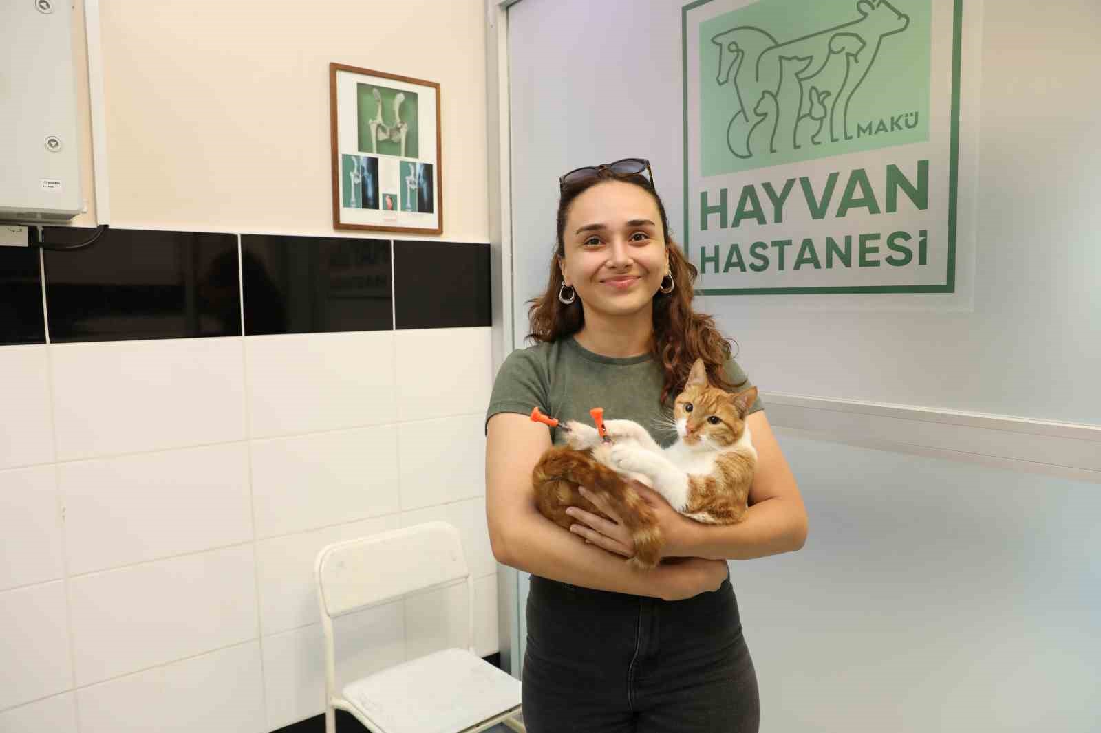 Arka 2 patisi ampute edilen Balım’a 3 boyutlu özel tasarlanan protez