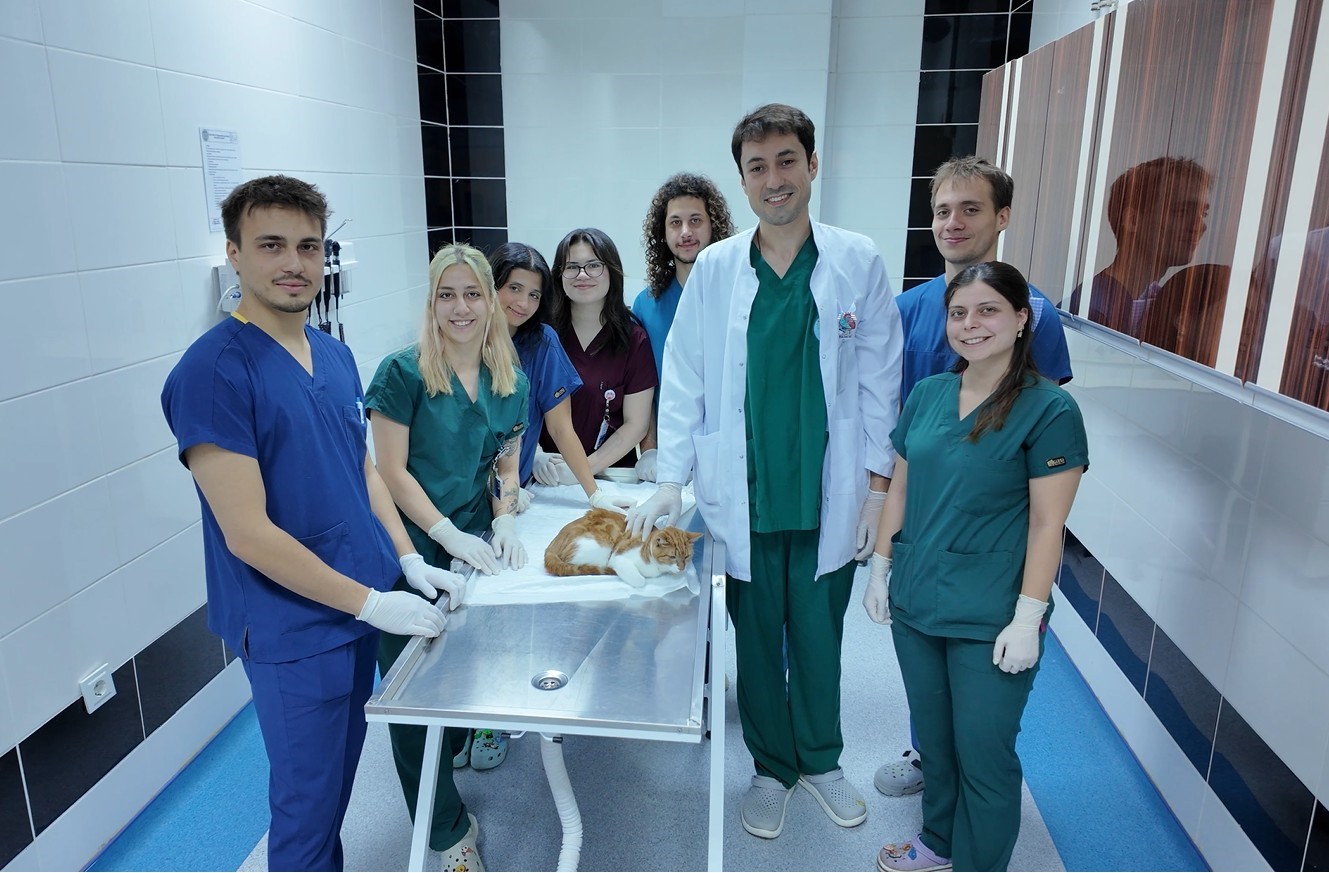 Arka 2 patisi ampute edilen Balım’a 3 boyutlu özel tasarlanan protez