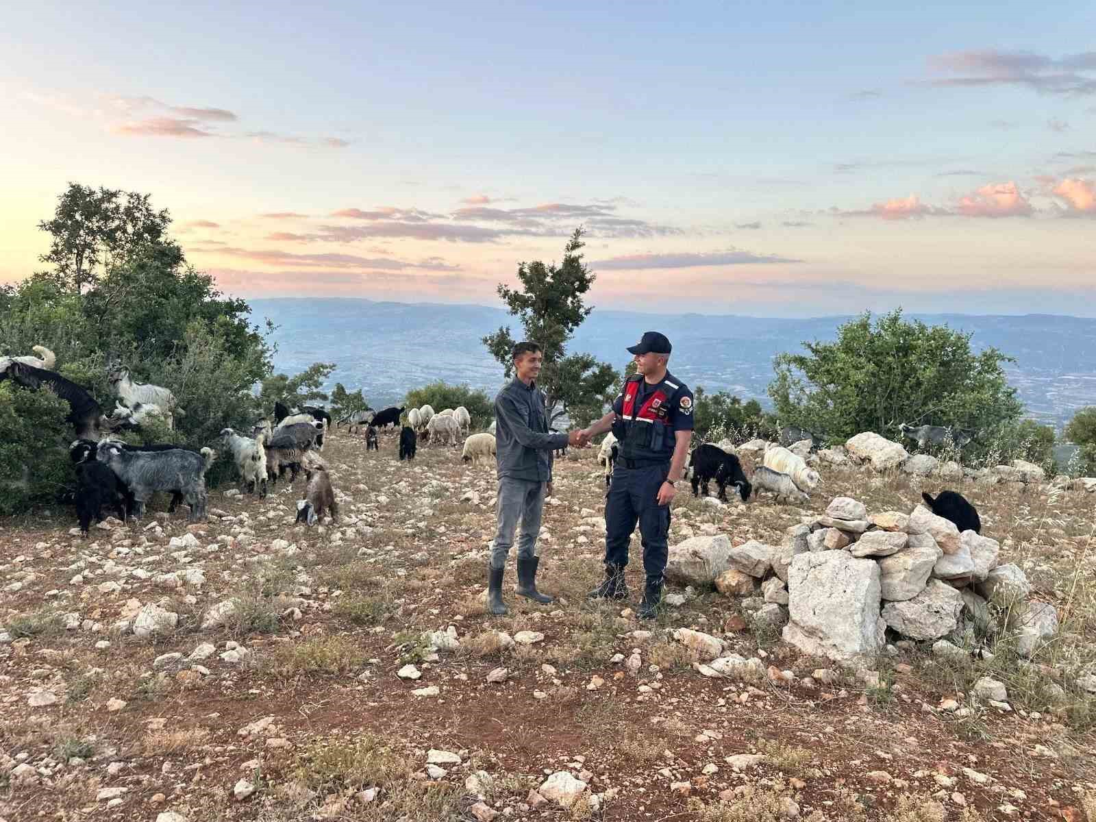Mersin’de kayıp 40 küçükbaş dronla bulundu