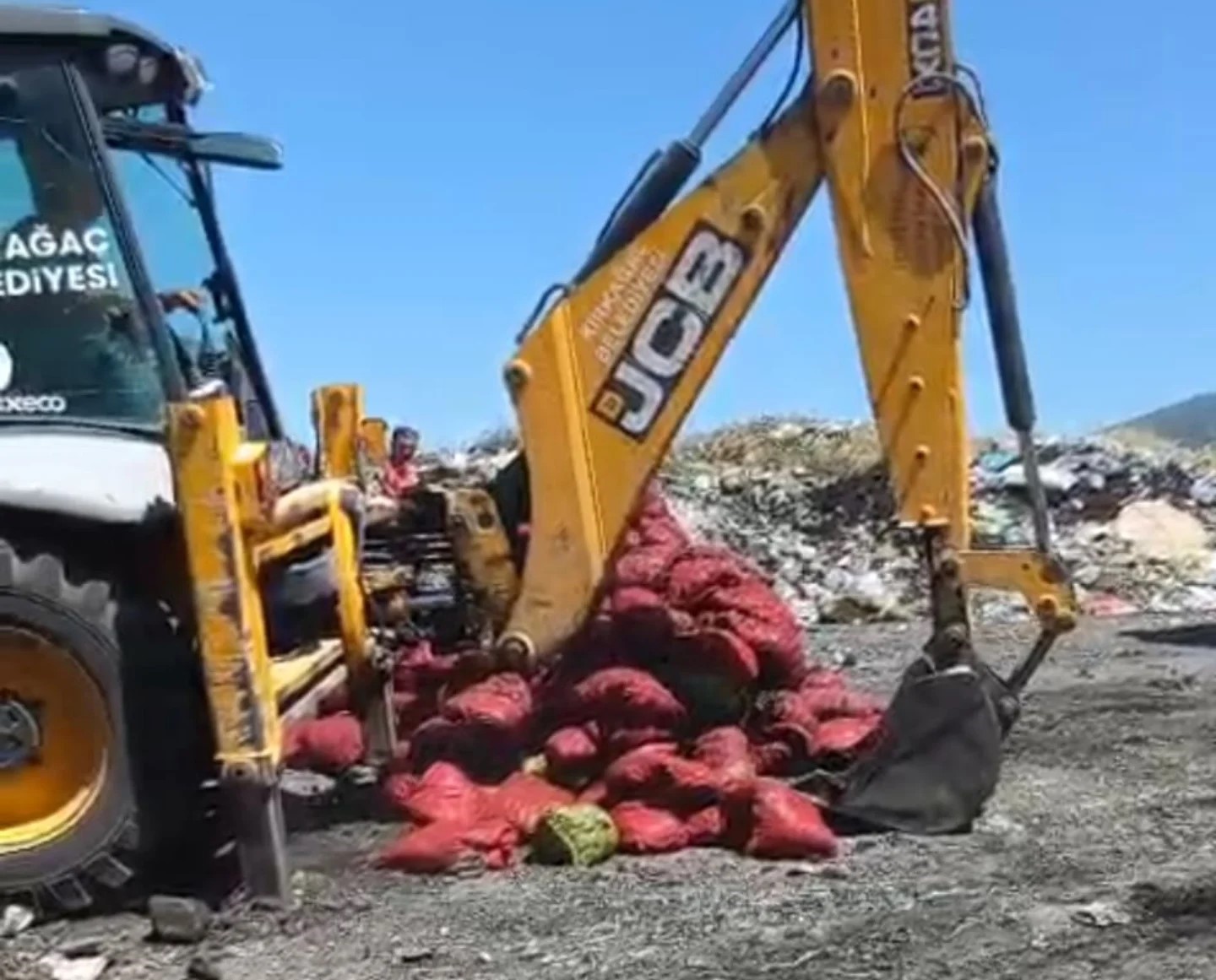 Manisa’da menşei belirsiz midyeler imha edildi