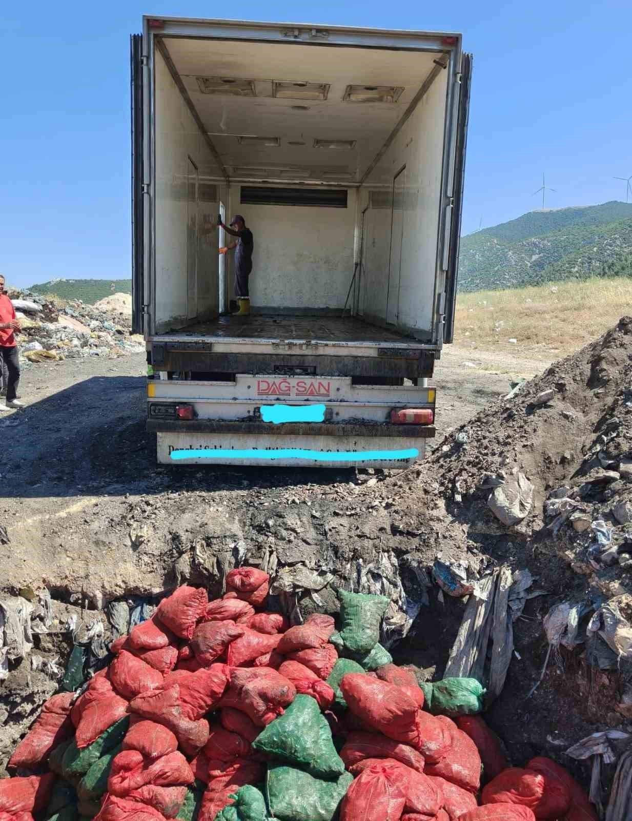 Manisa’da menşei belirsiz midyeler imha edildi