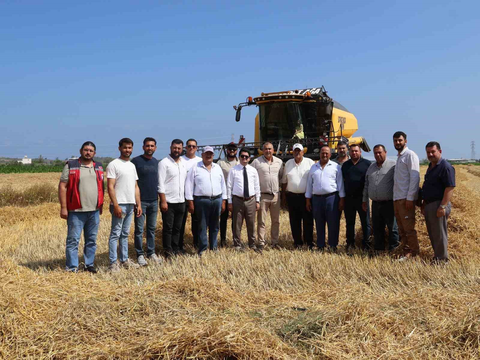 Arsuz’da buğday hasadı devam ediyor