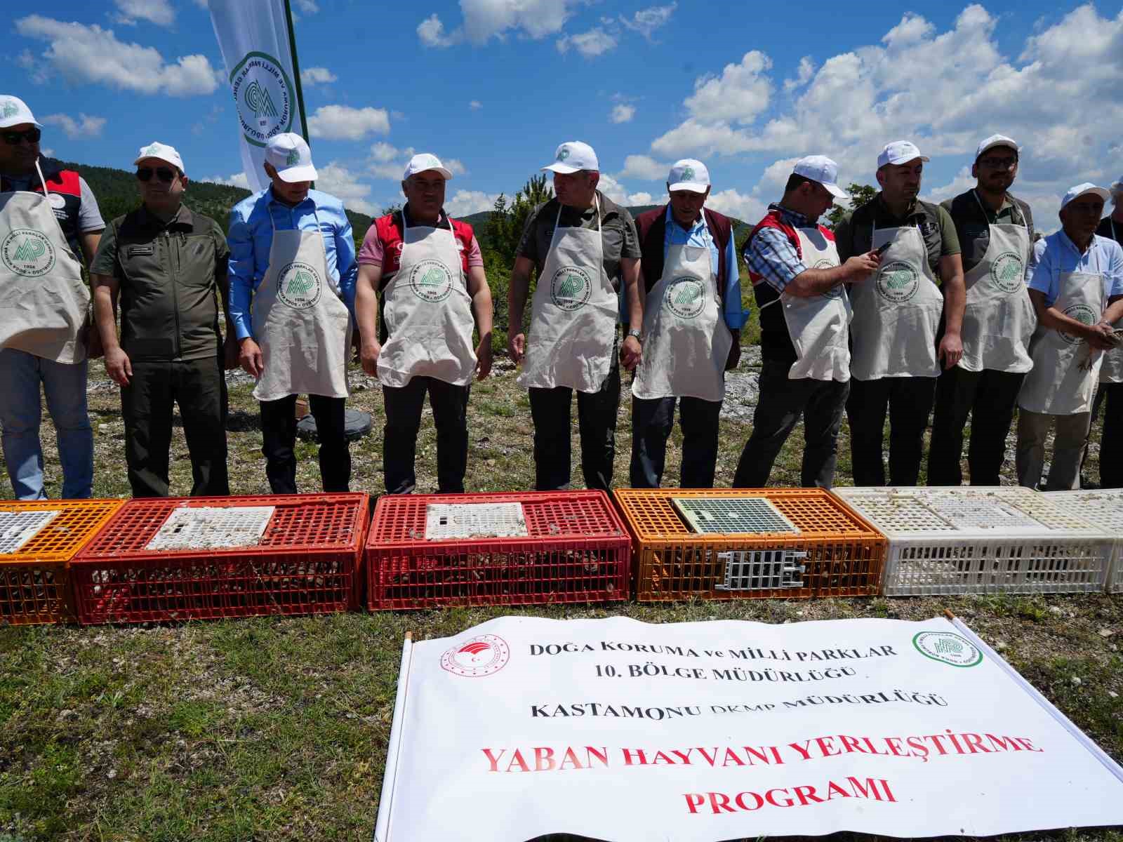 Kastamonu’da doğaya bin 200 kınalı keklik salındı