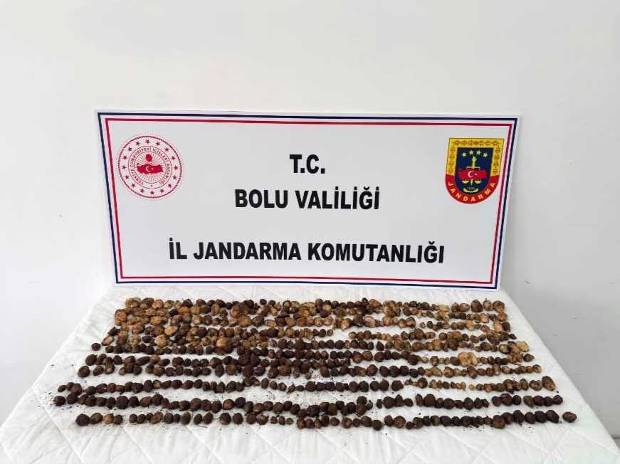 Bolu’da 2 milyon liralık salep cezasına isyan edip çatıya çıktı