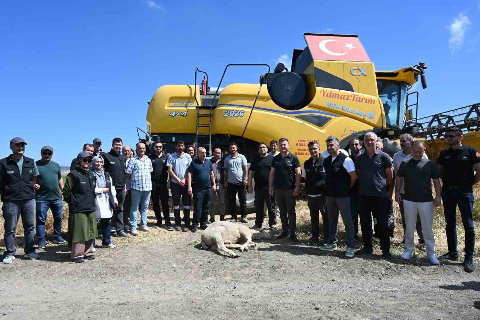 Koyunculuk Araştırma Enstitüsü’nde hasat bereketi