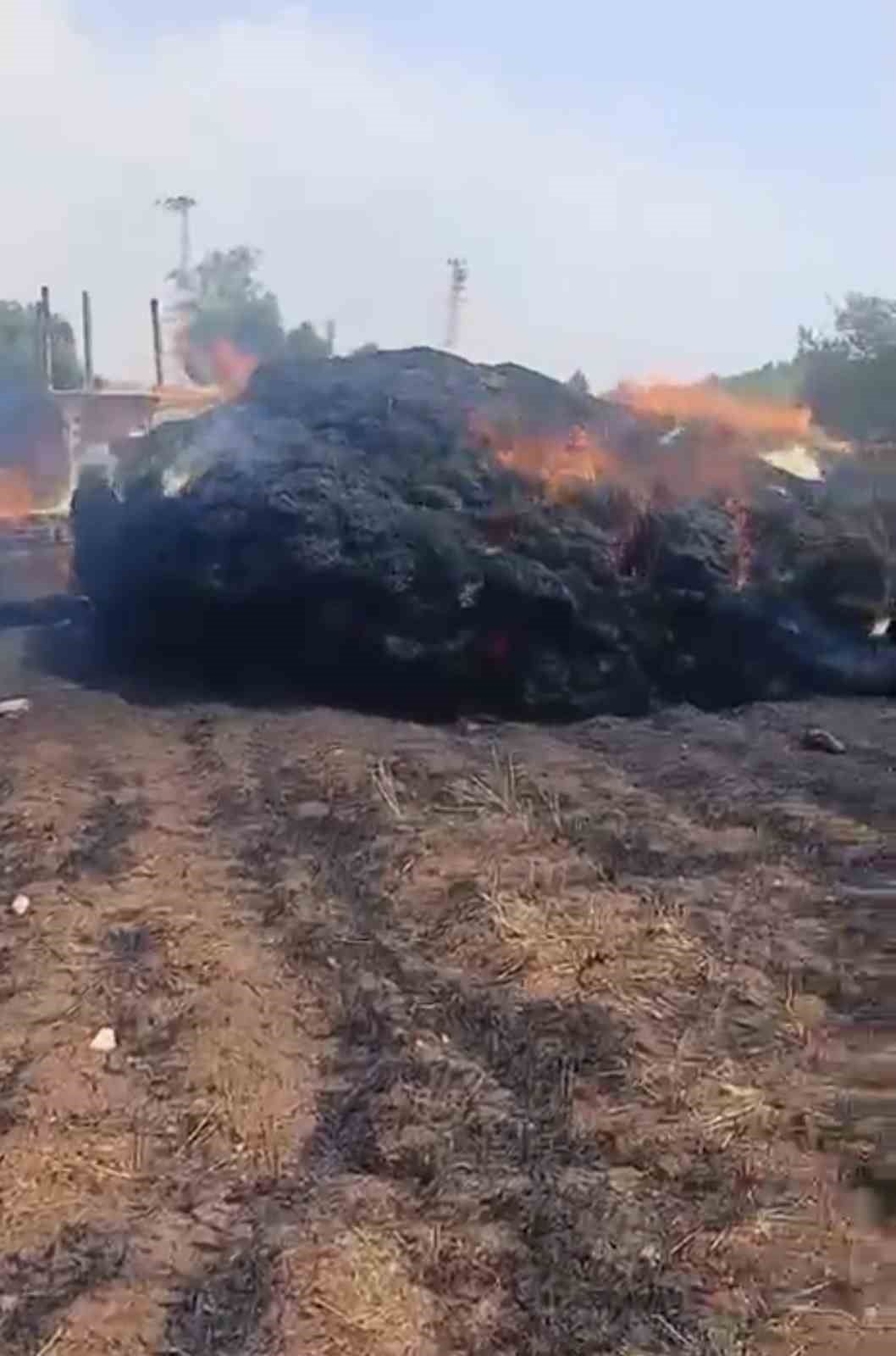 Tarsus’ta saman balyaları alevlere teslim oldu